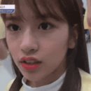 댕댕스 Daum카페