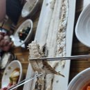 손맛촌에코랜드사려니조천본점 | 제주도 갈치 맛집 에코랜드 사려니숲길 근처 손맛촌