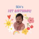 동이길 | 세종시 돌잔치 준비 기록 (1) 돌잔치 장소 돌사진 돌 스튜디오 촬영 돌스냅 고르기