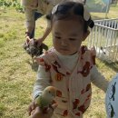 아이비화원 이미지