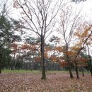 황성공원 실내체육관 이미지