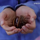 삼례은빛사랑요양원