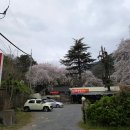 약수장 | 창원맛집]마산 5분거리 계곡에서 벚꽃보면서 백숙먹는 무릉도원 체험기 : 서원곡 약수장 가든 방문후기