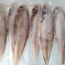 군산박대왕 이미지