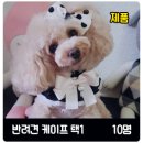 퍼피유니티 | [발표] 반려견 핸드메이드 케이프 제공, 체험단 모집