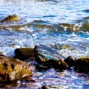 평화자동차정비 이미지