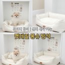 소다펫 | 펫테일 퐁슈방석 후기 | 포근함 좋은 강아지방석 추천