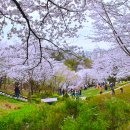 숲속쉼터 이미지