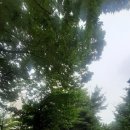 별빛마을3-5단지아파트 이미지