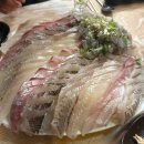 신기촌활어회 | 사천 맛집 추천 현지인 맛집 활어회 전문점 신기촌활어회