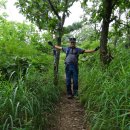 신광면/비학산 이미지