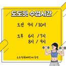 도도핏