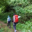 국토종주기(아름다운 대한민국 걸어서 640km)-세번째 이야기 문경 영신숲유원지까지 101km 이미지