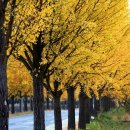 통일전 주차장 화장실 이미지