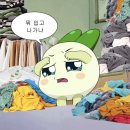 엔터식스폴햄 | 기모 추리닝 바지 끝 (폴햄, 탑텐 후기)