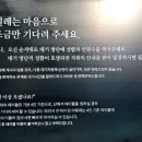 일미락 이미지