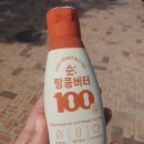 햇빛장 | 파주 가볼만한곳 헤이리마을 햇빛장, 한길북하우스, 흑사당