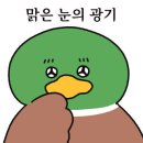 뱅뱅코인노래연습장 이미지