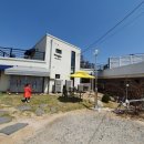 마리올라 이미지