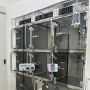 내곁에 동물병원 이미지