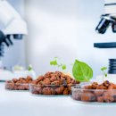 한경국립대학교 국제개발협력대학원 | 반려동물 먹거리의 새 가능성....대구한의대 연구진이 열었다