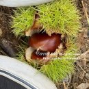 안성산양농원 이미지