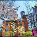 용바위어린이공원 이미지