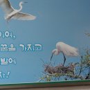 백학중학교 이미지