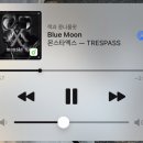 나 Blue Moon 듣구 있어!! 이미지