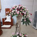 하선농장 이미지