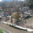 증약초교 대정분교 이미지