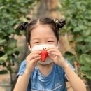 봄이네농장 이미지