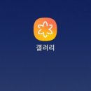단 갤러리 이미지