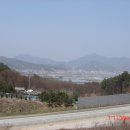 장룡