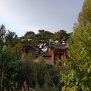 호암 시비공원 이미지