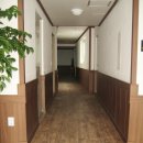 블루콘텔 이미지