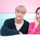 헤이지니 이미지