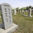 전사의영웅들 티스토리