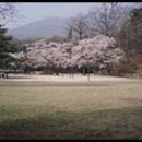 (주)대진여행사