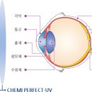 렌즈맨안경 네이버블로그