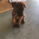 신백카센타 이미지