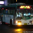 백성운수(주) 이미지