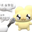 TJ story 이미지