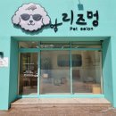 리즈멍 이미지