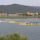 제52회 장보고기 전국 조정대회, 내일(4일) 서낙동강에서 개최 이미지