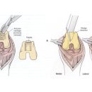 로잔동물의료센터 이미지