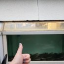 대우회센타 | 부산 영도 대우회센타 가자미 물회 야채보다 회가 더 많은 물회맛집