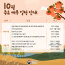 고수연세무회계사무소