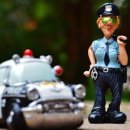 판교행정사 이미지