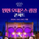 오데이지 이미지